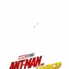 ant-man-and-the-wasp-20815.jpg