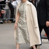 emilia_031.jpg