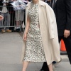 emilia_032.jpg