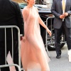 brie_001.jpg