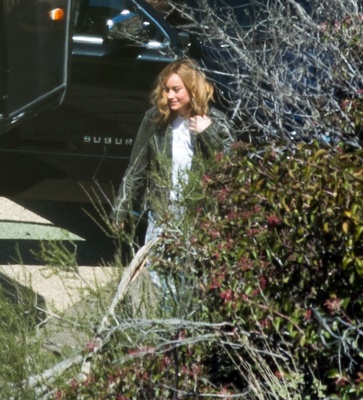 brie_002.jpg