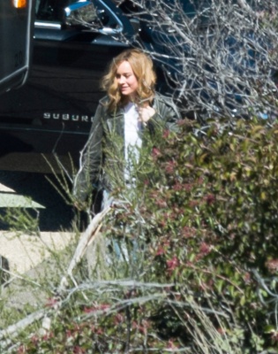 brie_003.jpg