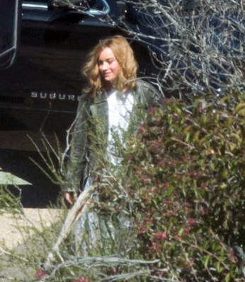 brie_005.jpg