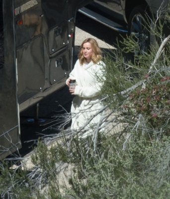 brie_011.jpg