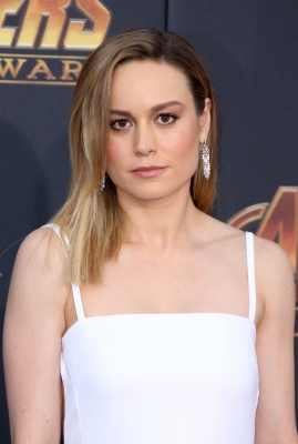 brie_255.jpg