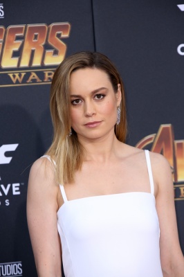 brie_256.jpg