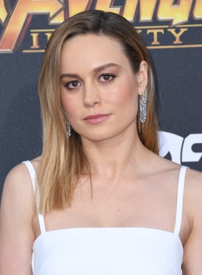 brie_271.jpg
