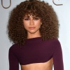 zendaya_0080.jpg