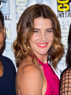 115832387_picturepub-cobie-smulders-066.jpg