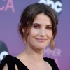 117775686_picturepub-cobie-smulders-002.jpg