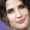 117775695_picturepub-cobie-smulders-008.jpg