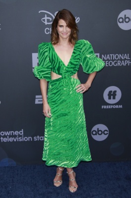 106597793_picturepub-cobie-smulders-002.jpg