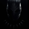 black-panther-wakanda-forever-26745.jpg