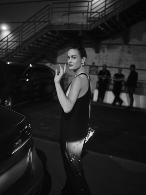 brie_0001~1.jpg