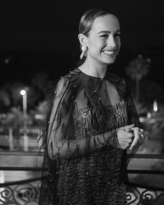 brie_0005.jpg