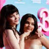 dove_0028.jpg