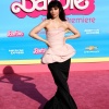 dove_0035.jpg