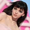 dove_0042.jpg
