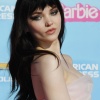 dove_0074.jpg