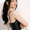dove_0034.jpg