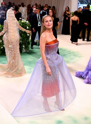 brie_0142.jpg