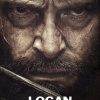 logan-17057.jpg