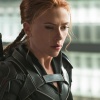 blackwidow_020.jpg