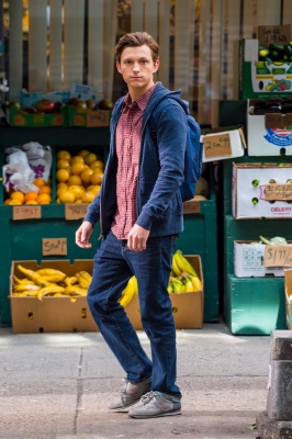 tom_044.jpg