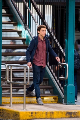 tom_049.jpg